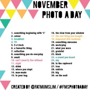 Nov photo a day